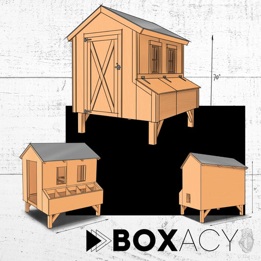 Projet de poulailler BoxAcy™